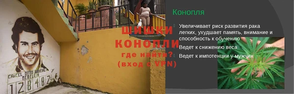 индика Красноперекопск