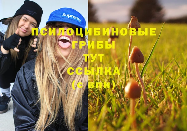 МДМА Корсаков