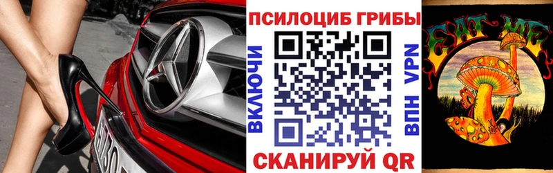 наркота  Среднеколымск  Псилоцибиновые грибы Psilocybe 